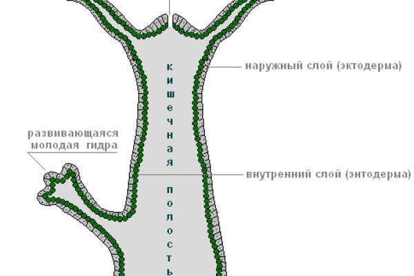 Кракен сайт 13at