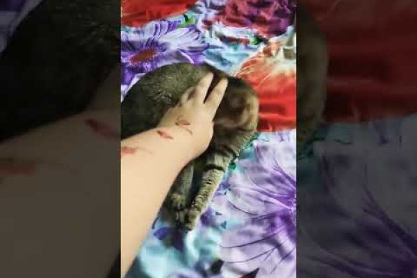 Что такое кракен маркетплейс